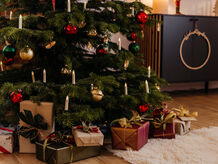 Echte Weihnachtsbäume aus dem Internet? BAUR bringt&#039;s!